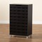 Baxton Studio Ernest Modern and Contemporary Dark Brown Finished Wood 2-Door Shoe Storage Cabinet 178-11027-Zoro - alternate 2